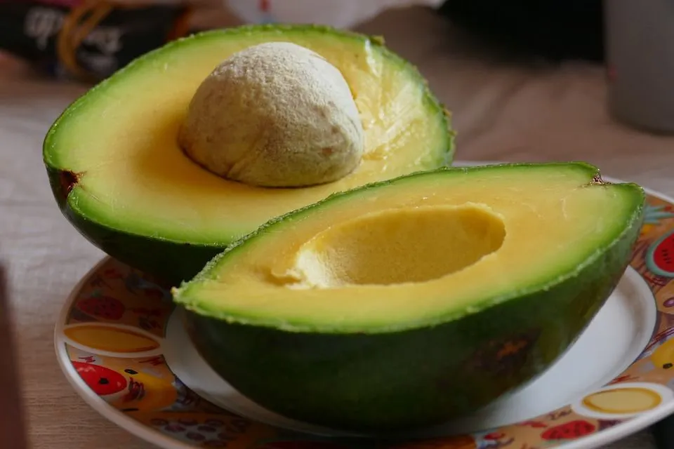 Buah Alpokat