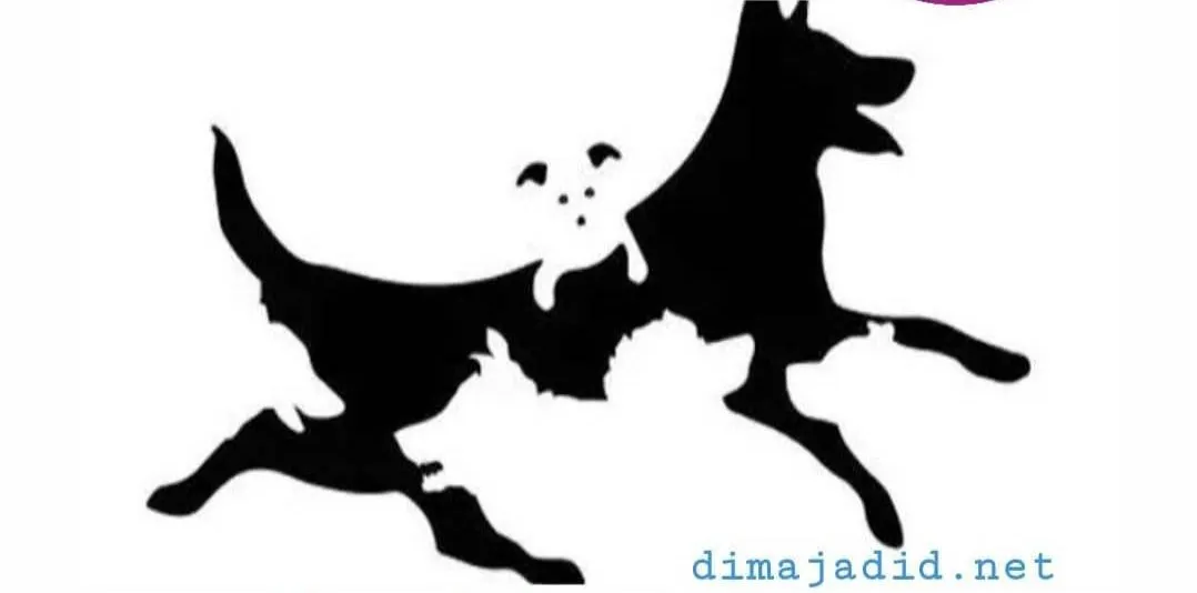 Tes Kepribadian: Jumlah Anjing yang Kamu Lihat Cerminkan Seberapa Dewasa Dirimu
