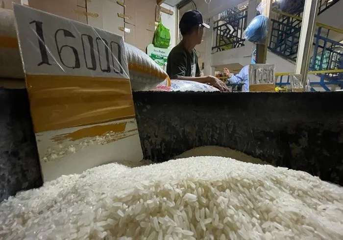 Harga Beras Melonjak Jelang Pemilu Buat Warga Menjerit, Apa Penyebab Kenaikan Sebenarnya?