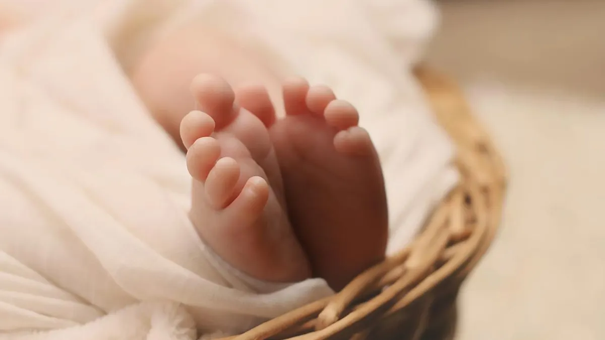 Tes kepribadian ini adalah untuk mengungkap karakter yang kamu punya dengan cara menebak gambar bayi yang kamu lihat.