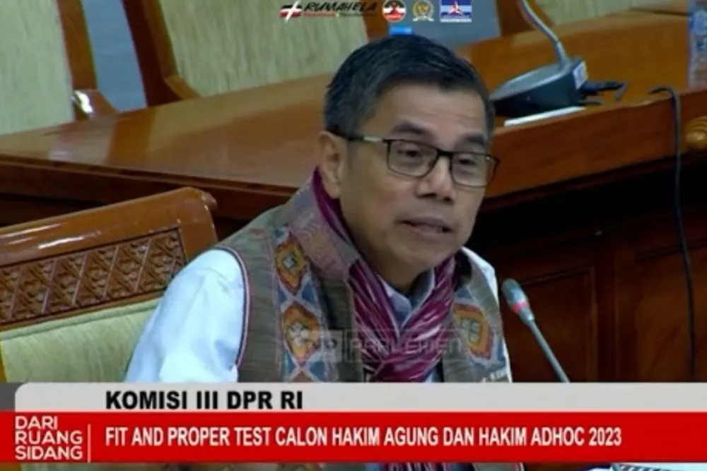 Anggota Komisi III DPR RI, Hinca IP Pandjaitan