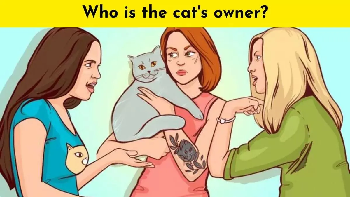 Tes IQ siapakah pemilik kucing sebenarnya
