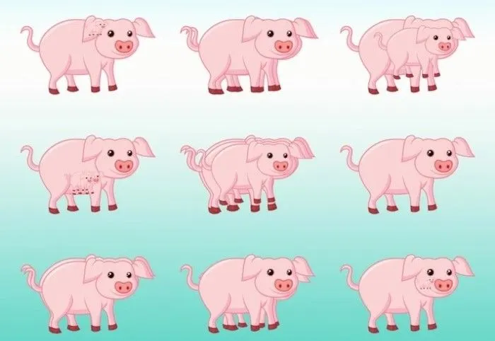 Tes Ilusi Optik: Hitung Berapa Jumlah Babi pada Gambar untuk Menguji Ketajaman Visual Kamu