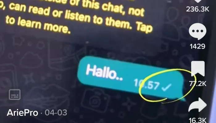 Ilustrasi cara membuat agar pesan WhatsApp tetap centang satu padahal sudah kita baca dan online.