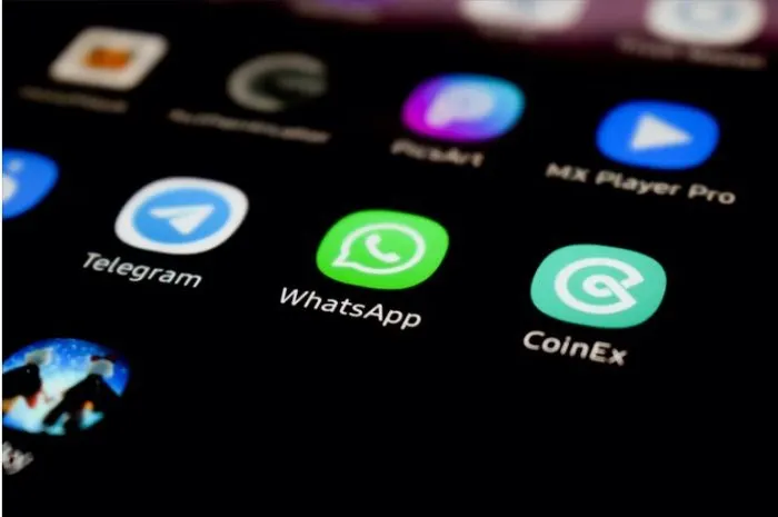 Ilustrasi logout paksa akun WhatsApp.