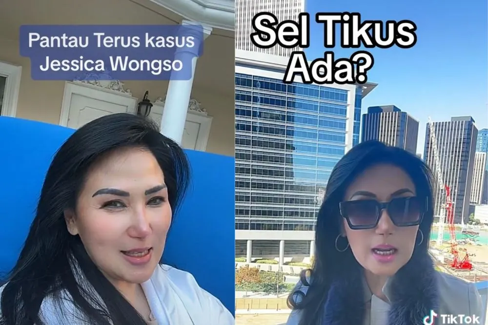 Kasus Jessica Wongso Mencuat, Lita Gading Akui Sel Tikus Benar-benar Ada, Begini Kesaksiannya (Tangkapan Layar TikTok @litagading5)