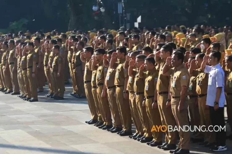 Pemerintah secara resmi telah mengumumkan rencana dibukanya pendaftaran penerimaan CPNS 2024 dengan total 690 ribu formasi.