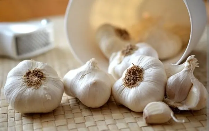 Berikut adalah beberapa makanan yang meningkatkan produksi kolagen dalam tubuh, secara langsung atau tidak langsung.