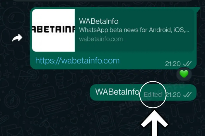 Cara Edit Pesan Salah Ketik di Whatsapp Setelah Dikirim, Auto Gak Jadi Si Typo! 