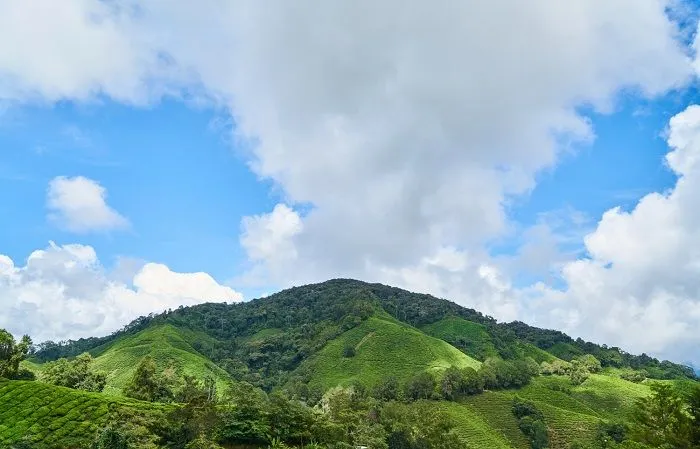 7 Kota Terdingin yang Ada di Indonesia, Apakah Daerahmu Termasuk?