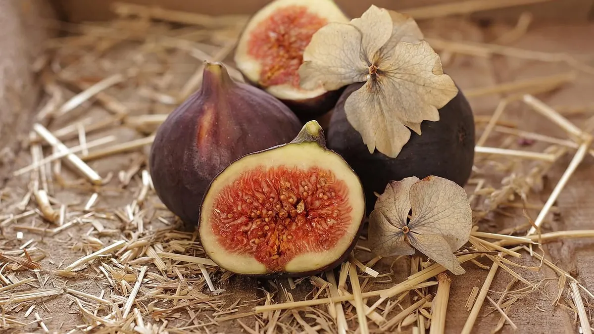 Buah ara atau buah tin