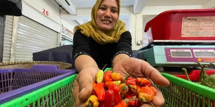 Ternyata Ini Alasan Harga Cabai Rawit Melonjak