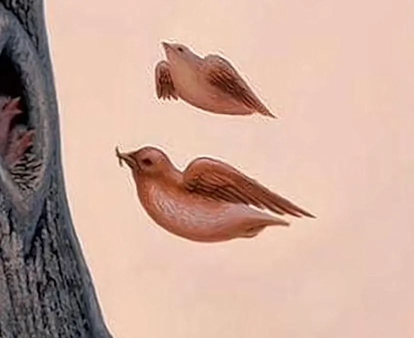 Illustrasi Tes Kepribadian
