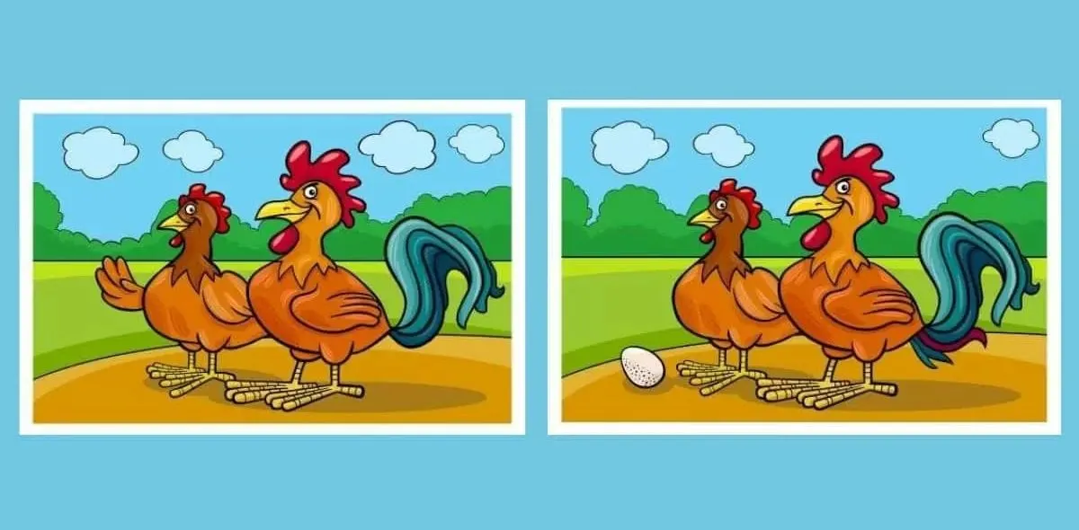 Tes Penglihatan: Temukan 5 Perbedaan Pada Sepasang Ayam Ini, Asah Ketelitian Kamu! (Jagran Josh)