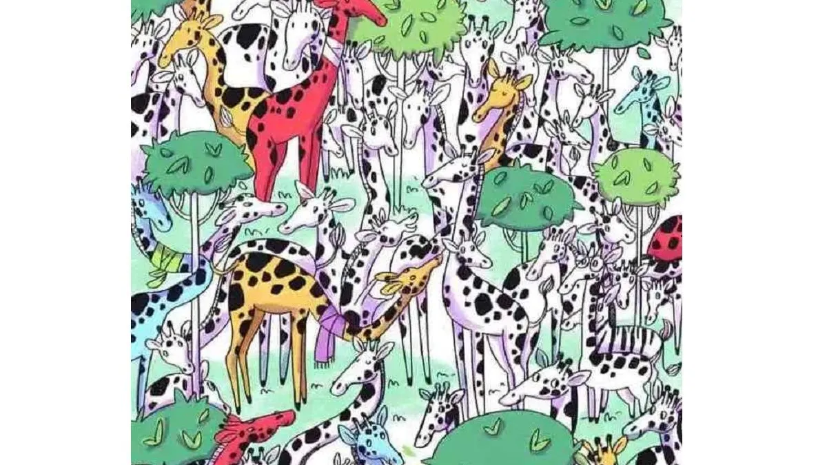 Apabila dilihat secara sekilas, hanya ada jerapah pada gambar, namun faktanya terdapat seekor zebra yang tersembunyi.