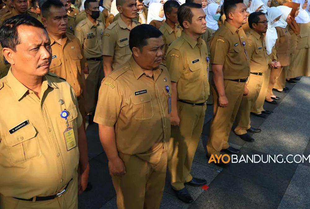 Ilustrasi CPNS lulusan Sekolah Kedinasan.