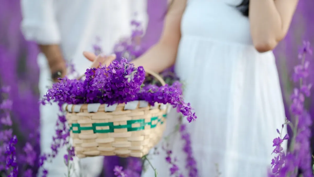 Banyak orang yang beranggapan bahwa pecinta warna ungu adalah kepribadian yang pemalu. Benarkah Cek 5 fakta uniknya.