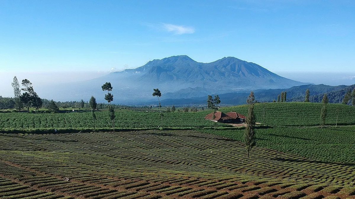 Batu, Malang | Tahukah kamu ternyata terdapat beberapa kota di Indonesia yang memiliki cuaca dengan suhu dingin hingga di bawah rata-rata?