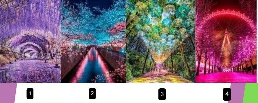 Bongkar Karakter yang Kamu Miliki Berdasarkan Tempat dan Suasana yang Kamu Pilih, Kamu yang Mana?
