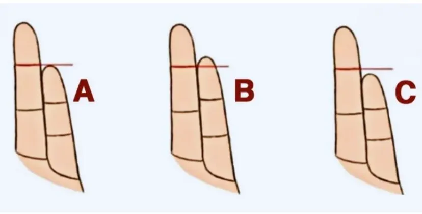 Illustrasi Tes Kepribadian