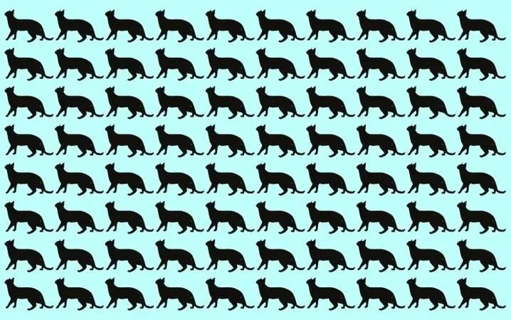 Tes Penglihatan: Punya Mata Jeli? Coba Temukan 1 Ekor Kucing Berbeda pada Gambar, Ketemu? 