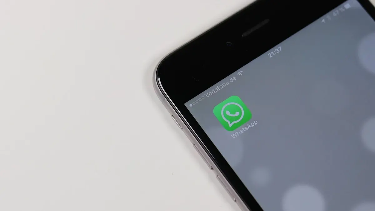 Tips WhatsApp: Cara Kirim Pesan WA Tanpa Harus Simpan Nomor Terlebih Dahulu, Ternyata Semudah Itu!