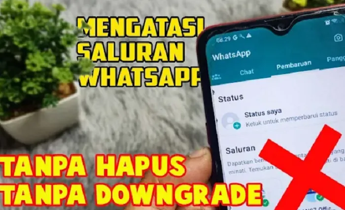 Cara Mudah dan Aman Menghilangkan Menu Saluran di WhatsApp, Tidak Harus Ribet dan Ngejlimet