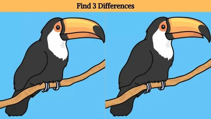 Tes Ilusi Optik: Bisakah Temukan 3 Perbedaan Burung Toucan? Hanya Orang dengan Penglihatan Tajam Dapat Menemukan Jawabannya