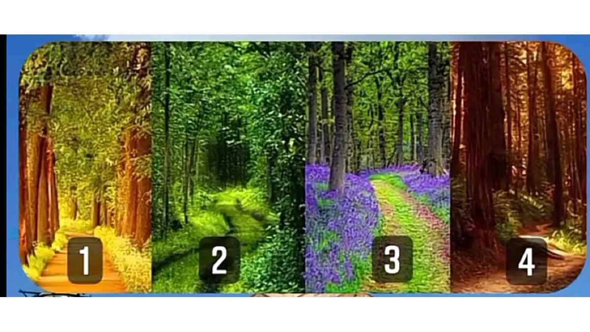 Dalam artikel ini, terdapat empat gambar ilustrasi jalur hutan, dari keempat jalur tersebut manakah yang ingin kamu lalui?