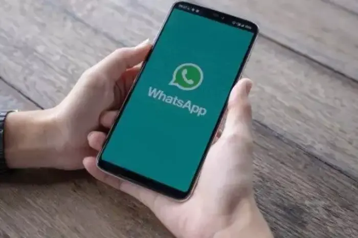 WhatsApp 