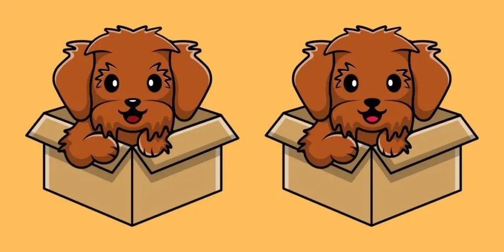 Tes IQ: Suka Bermain Teka-teki? Coba Temukan 3 Perbedaan pada Gambar Anjing Lucu dalam Kardus Ini, Buktikan Ketajaman Matamu
