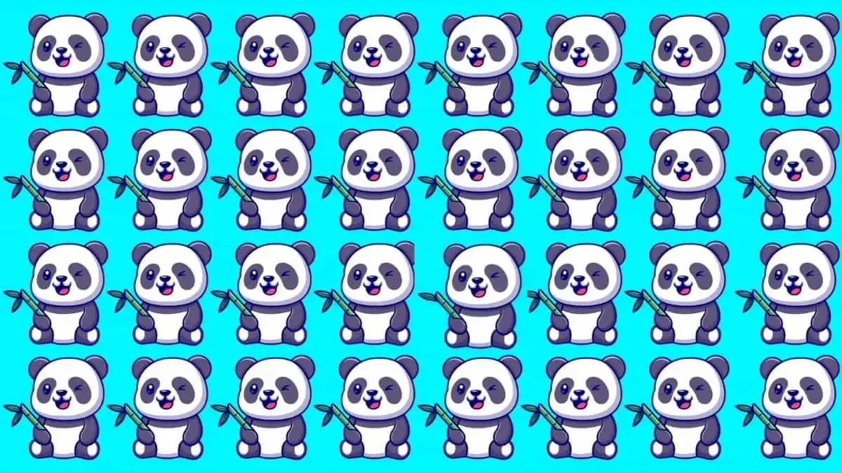 Tes Penglihatan: Tunjukkan Kemampuan Observasimu dengan Temukan Panda Paling&nbsp;Berbeda!