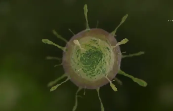 Fakta Virus Zombie yang Ditemukan di Siberia, Benarkah Siap Menggerus Peradaban Manusia?