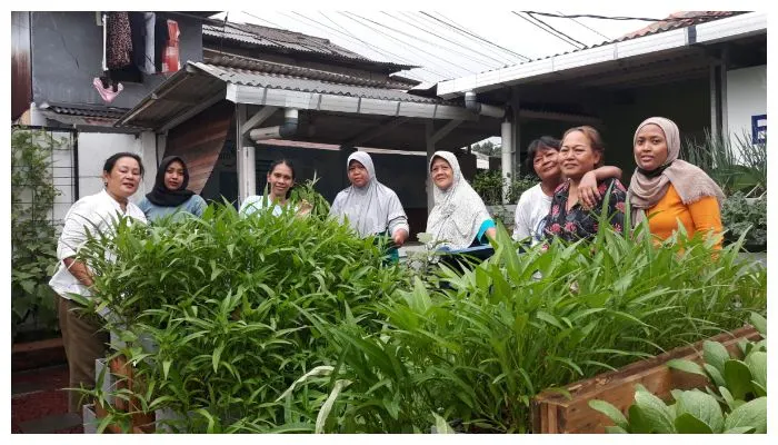 Nasabah PNM Geluti Urban Farming