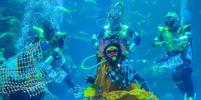 Sea World Ancol, salah satu destinasi wisata di Jakarta yang bisa kamu kunjungi untuk liburan keluarga