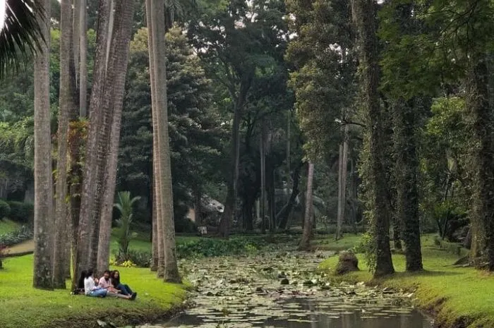 Jalan-jalan atau strolling around di Jakarta tidak selalu perlu menyiapkan banyak budget. Berikut rekomendasi tempat-tempat seru tapi hemat. Salah satunya pilihan jalan-jalan ke Taman Langsat di Jakarta Selatan.  