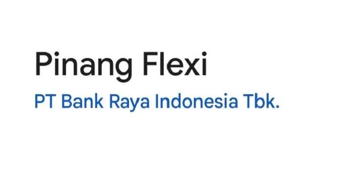 Galbay Pinjol Berakibat Blacklist pada BI Checking, Pinang Solusi dari KUR BRI