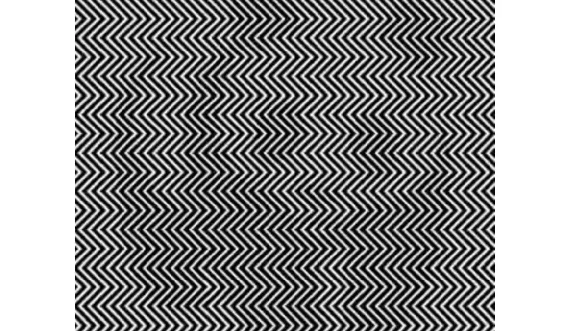 Gambar hewan rahasia dalam ilusi optik ini dibuat khusus untuk mereka yang senang mengasah otaknya. Coba tebak dengan benar.
