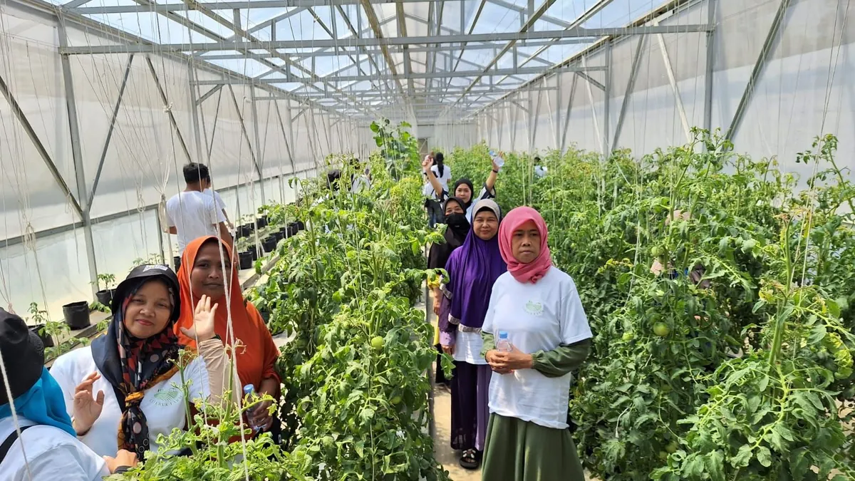 PT Permodalan Nasional Madani (PNM) gelar studi banding pertanian hidroponik yang diikuti oleh ketua kelompok nasabah PNM Mekaar yang bergelut di usaha pertanian dari wilayah Bogor, Sukabumi, Garut, Yogyakarta, Purwokerto, Padang, dan Denpasar.