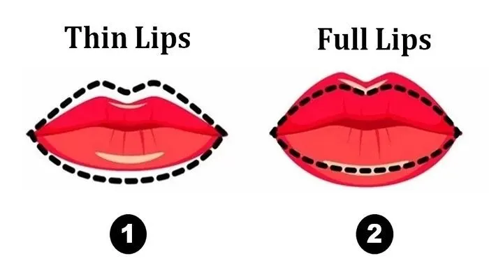 Bentuk bibir Bisa Ungkap Jenis Karir yang Cocok Denganmu