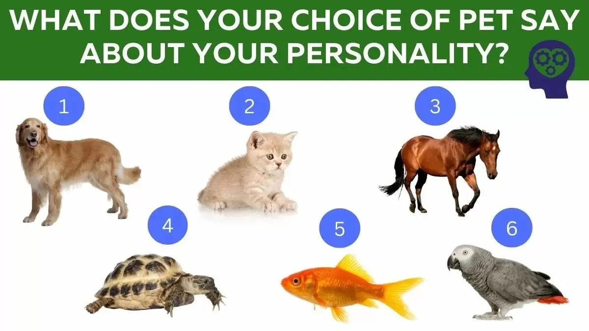 Tes Psikologi: Hewan Peliharaan Diklaim Dapat Ungkap Kepribadian Seseorang, Apa Binatang Favoritmu?