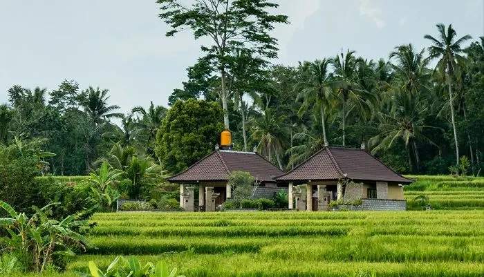Ilustrasi traveling di tempat sunyi.