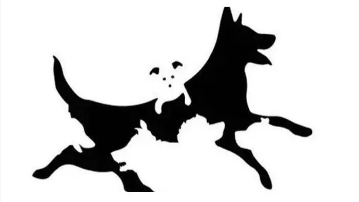 Tes Kepribadian: Jumlah Gambar Anjing yang Kamu Lihat Menunjukan Seberapa Dalam Pemikiranmu, Dewasakah?