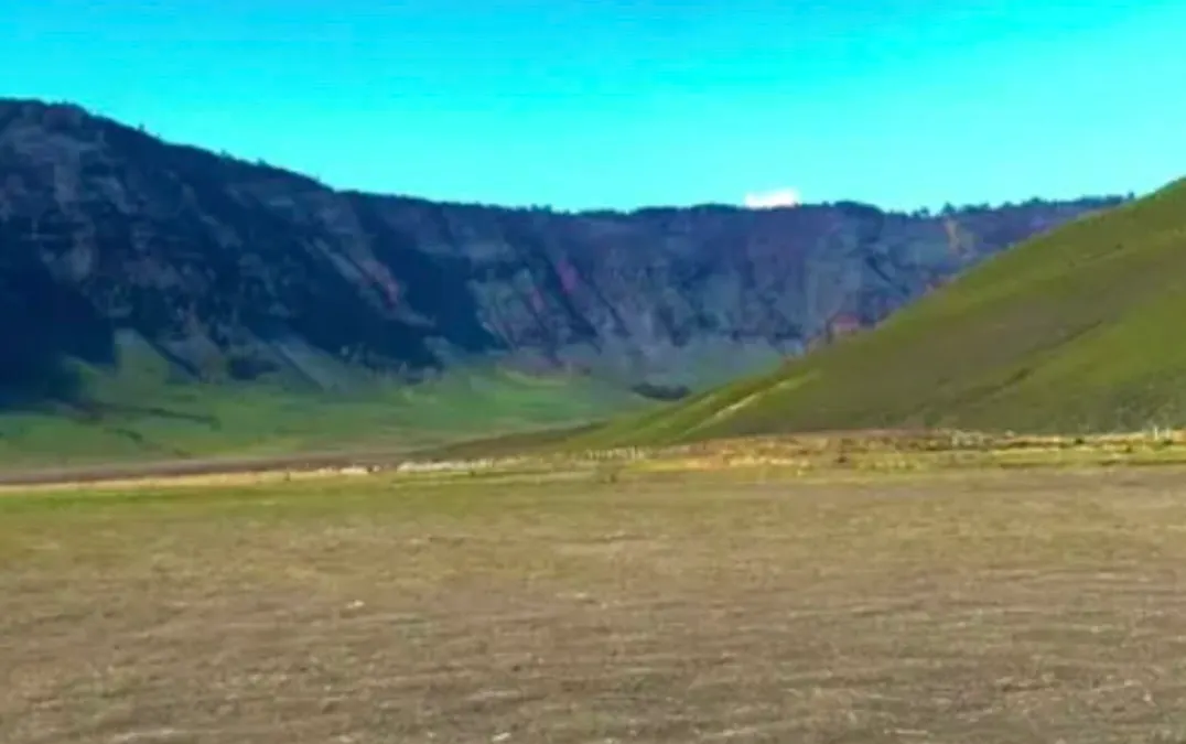 Potret Terkini Kawasan Gunung Bromo yang Mulai Menghijau, Pasca Kebakaran Akibat Flare Wedding