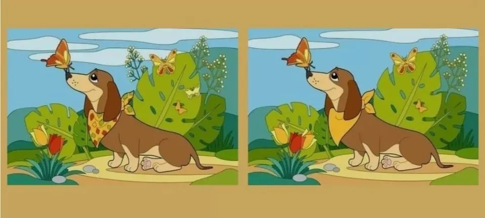 Tes IQ: Ada 5 Perbedaan pada Gambar Anjing Bersama Kupu-kupu Ini Coba Temukan Minimal 3 Saja, Latih Fokusmu! (Jagran Josh)