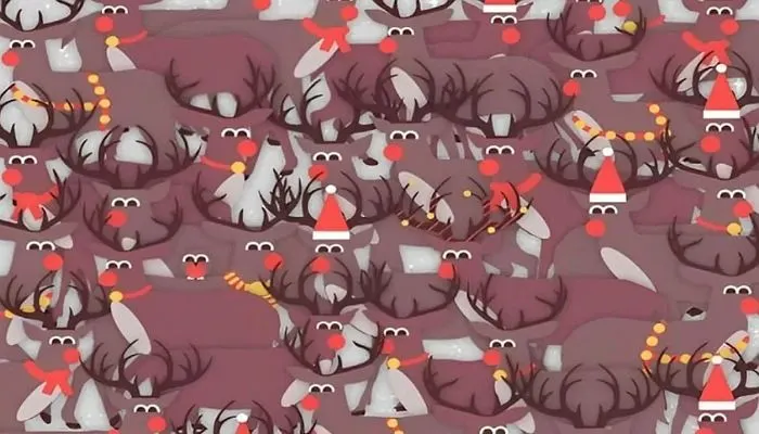 Tes Penglihatan Temukan Seekor Burung di Antara Rusa Kutub Ini