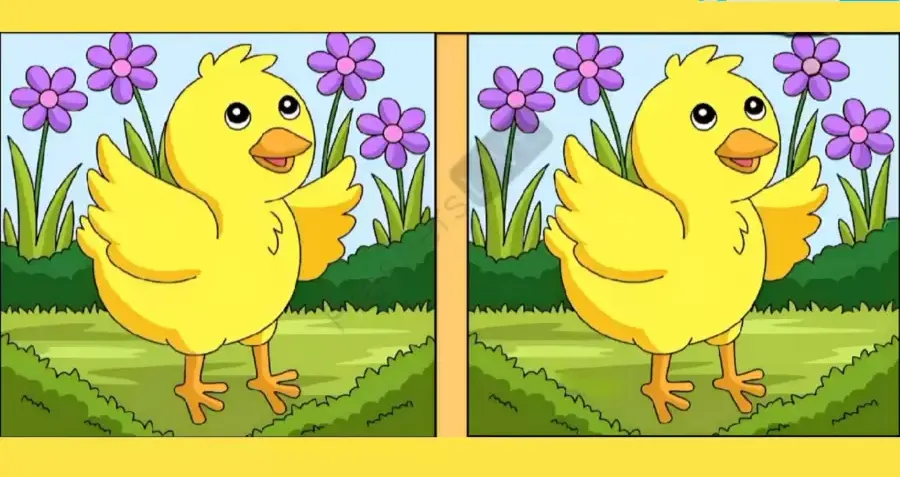 Tes IQ: Seimbangkan Otak Kanan dan Kiri dengan Menemukan 3 Perbedaan pada Gambar Anak Bebek Ini, Ketemu?