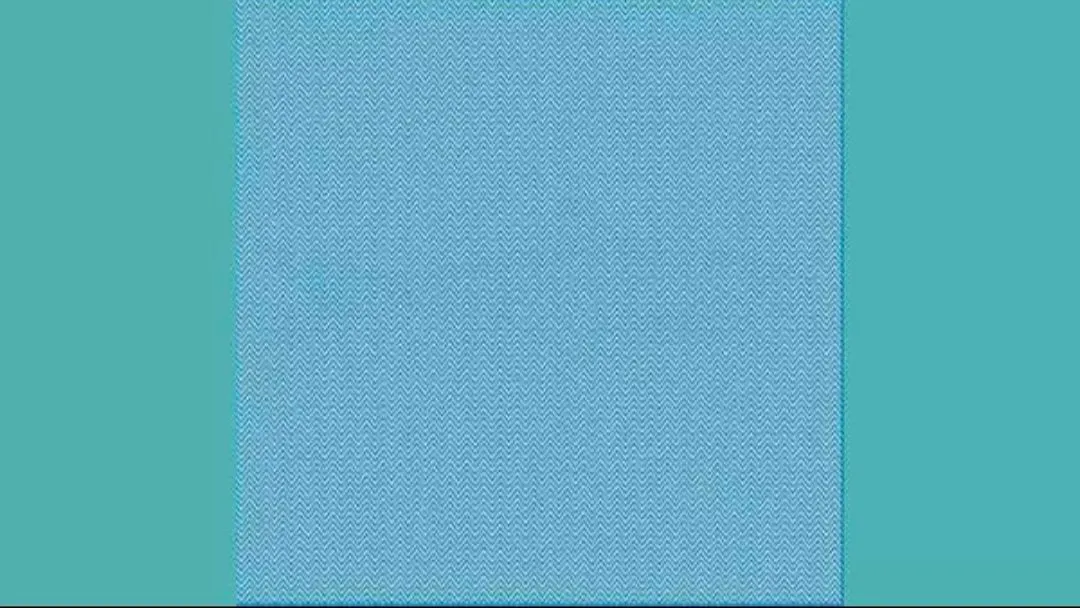 Tes Penglihatan: Seimbangkan Otak Kanan dan Kiri dan Coba Temukan Hewan di Balik Ilusi Optik Ini, Ketemu?