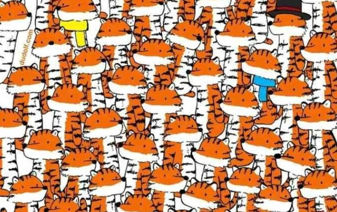 Tes Penglihatan: Kemampuan Mata Menurun? Coba Tingkatkan Lagi dengan Temukan 4 Kucing dalam 8 Detik!