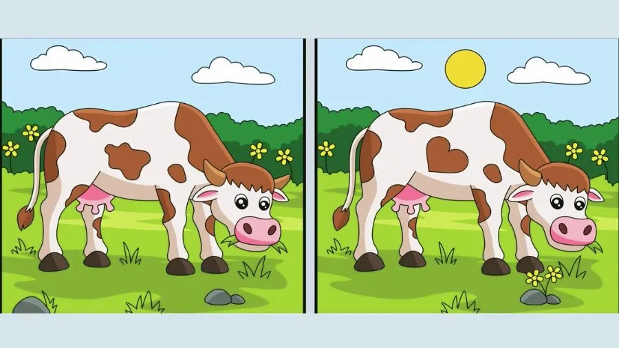 Tes IQ: Coba Temukan 8 Perbedaan pada Gambar Sapi Makan Rumput Ini